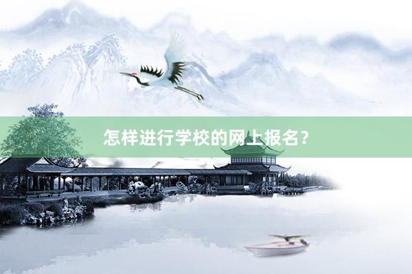 怎样进行学校的网上报名？